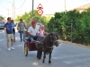 DSC_0036