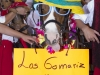 Fiestas_Santomera_Bando_Huerta_46