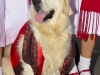 Santomera_fiestas_Bando_Huerta_0143