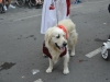Santomera_fiestas_Bando_Huerta_0215