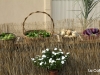 Bando de la Huerta027