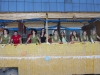 Fiestas_El Siscar_2014_32