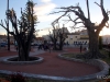 Santomera_parque_manolo_jardin_35