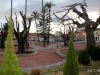 Santomera_parque_manolo_jardin_52