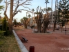 Santomera_parque_manolo_jardin_53