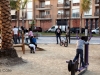 Santomera_parque_manolo_jardin_70