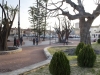 Santomera_parque_manolo_jardin_81