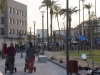 Santomera_parque_manolo_jardin_82